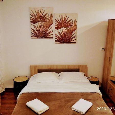 Tampa Studio Brasov Bagian luar foto